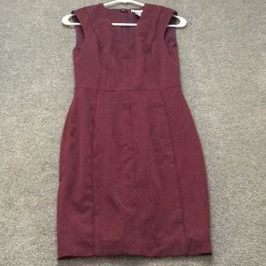 H&M Cranberry Fitted Dress